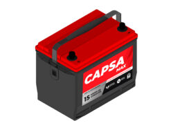 BATERIA CAPSA MAX 24 1000